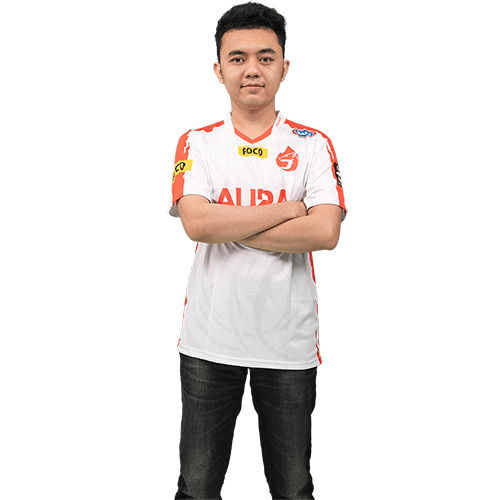 photo-CAID