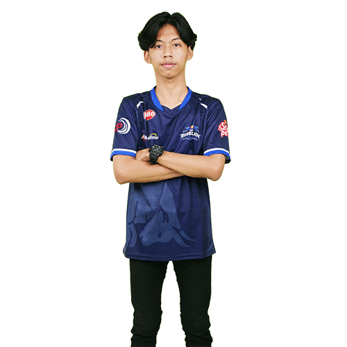 photo-COYY
